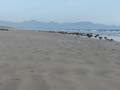 Sandy Point